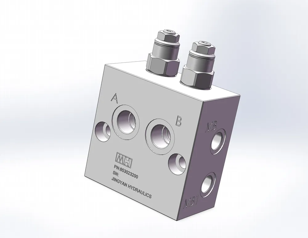 dual counterbalance valve-853023200